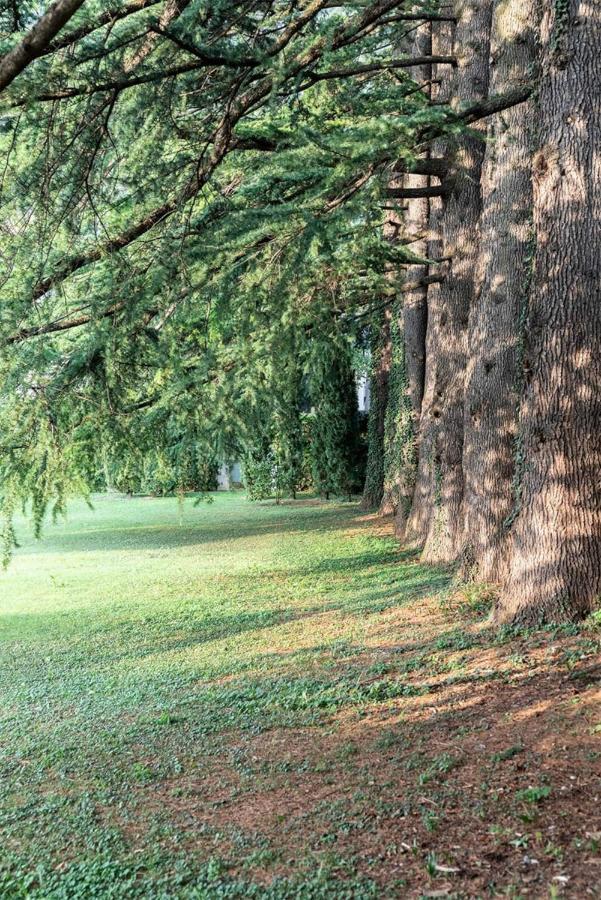 Villa Elisabeth Lierna Dış mekan fotoğraf