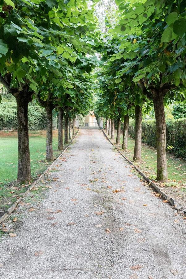 Villa Elisabeth Lierna Dış mekan fotoğraf